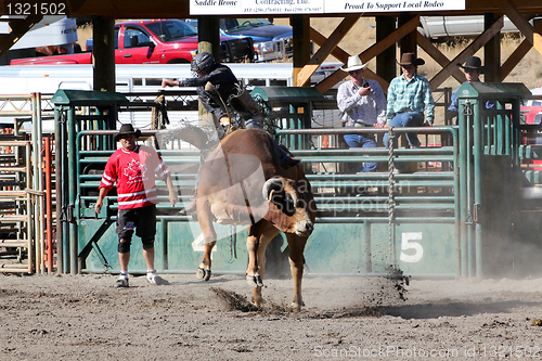 Image of 52nd Annual Pro Rodeo