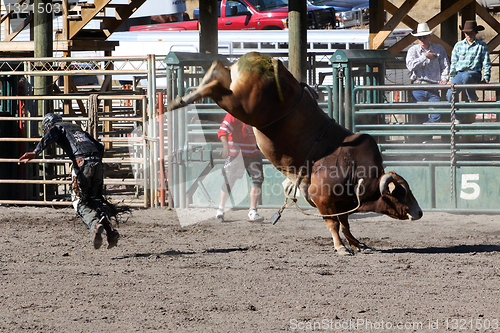 Image of 52nd Annual Pro Rodeo