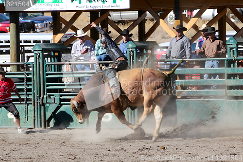 Image of 52nd Annual Pro Rodeo