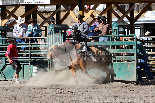 Image of 52nd Annual Pro Rodeo