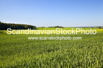 Image of agricultural field