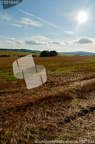 Image of Harvested Agricultural Field