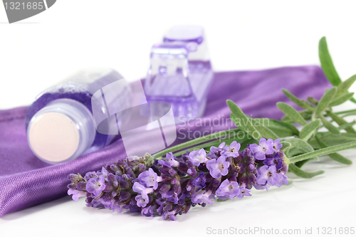 Image of Lavender