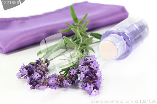 Image of Lavender