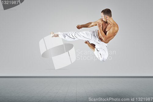 Image of martial arts master