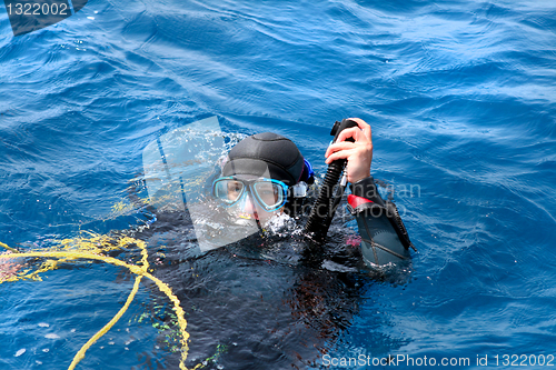 Image of diver in water ready to dive 