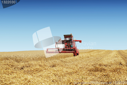 Image of Harvesting time with a combine