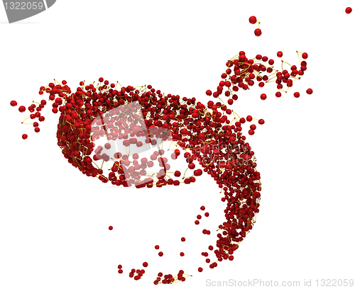 Image of Ripe fruits: Red cherry flow isolated