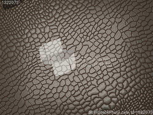 Image of Alligator skin: useful as texture or background