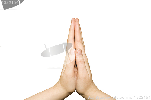 Image of Praying hands