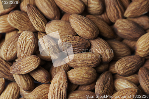 Image of brown almond