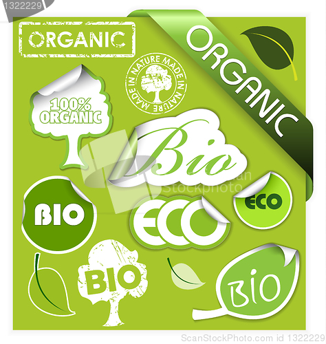 Image of Set of bio, eco, organic elements