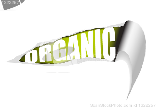 Image of Vector ripped paper organic poster