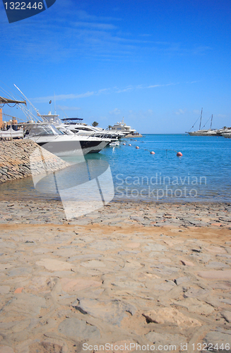 Image of Luxury yachts at El Gouna, Egypt