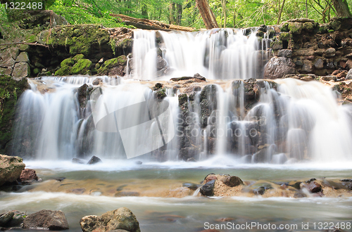 Image of Water on the rocks into the forest