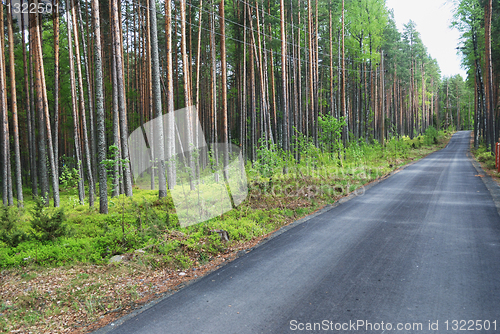 Image of disappearing into the distance the road