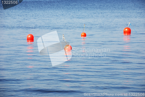Image of four red buoys