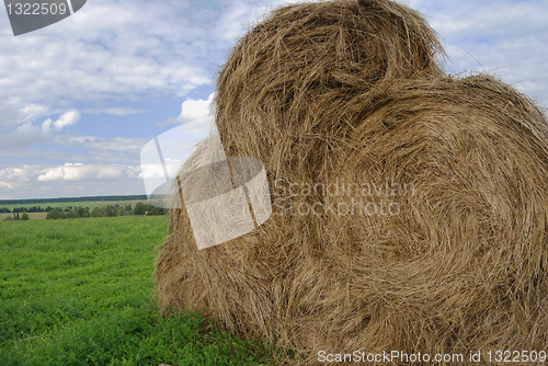 Image of straw bales on farmland 