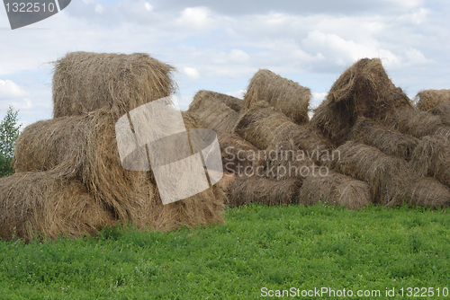 Image of straw bales on farmland 