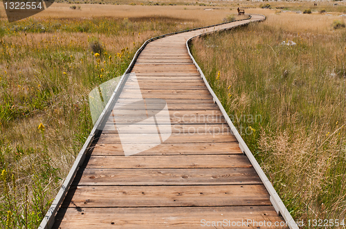 Image of Boardwalk