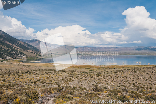 Image of Mono Lake