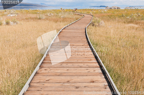 Image of Boardwalk