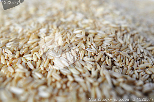 Image of Wheat grains