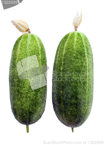 Image of Two Cucumbers