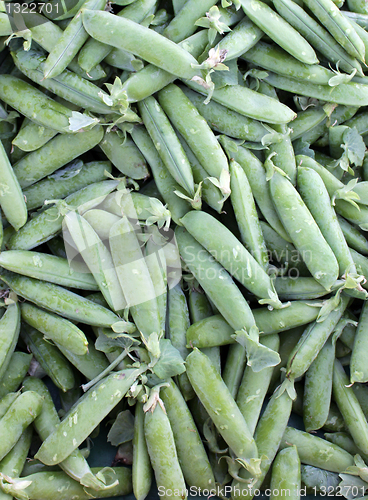 Image of Pea Pods