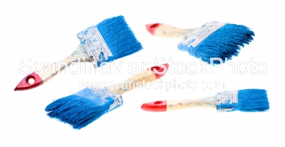 Image of Brush in a paint