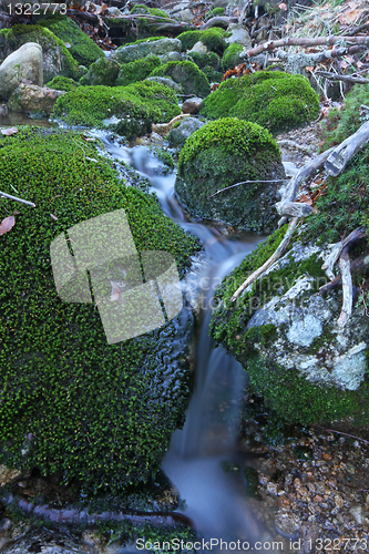 Image of Flowing water the river in Portugal