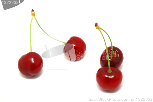 Image of beautiful and tasty cherries