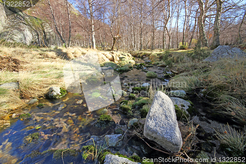 Image of Flowing water the river in Portugal