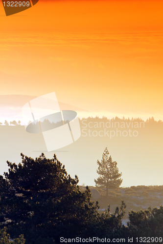 Image of Beautiful sunrise, orange tones, nature photo