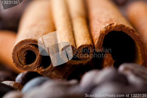 Image of Cinnamon sticks and coffee beans