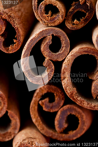Image of Cinnamon sticks