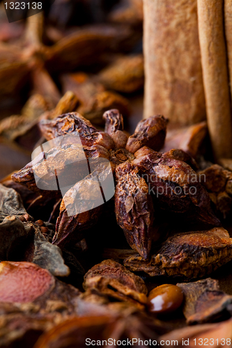 Image of Star aniseed and cinnamon sticks