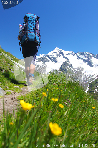 Image of Backpacking in the mountains