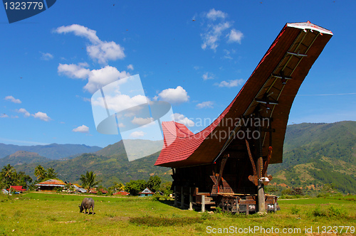 Image of Sulawesi, Indonesia