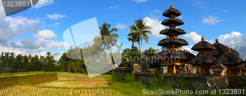 Image of Indonesian landscape