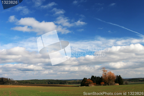 Image of Green meadow