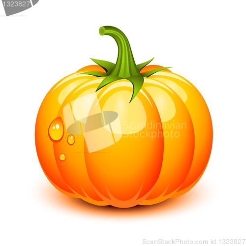 Image of Halloween pumpkin