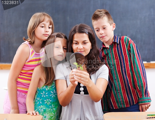 Image of Teacher and students look at plant