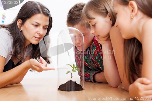 Image of Students looking at plant inside greenhouse