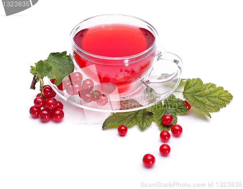 Image of Red currant tea