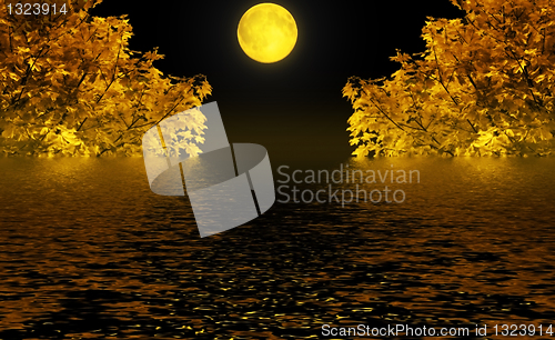 Image of Autumn night