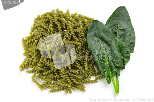 Image of Pasta with natural green colorant