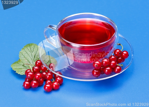 Image of Red currant tea