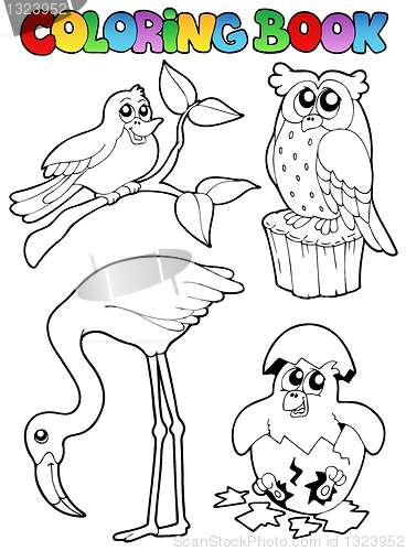 Image of Coloring book with birds