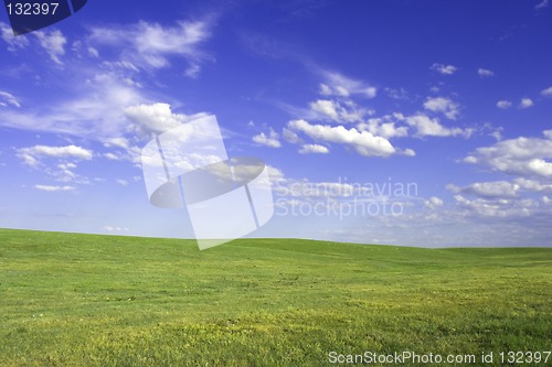 Image of Summer Landscape